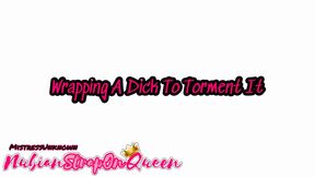 Wrapping a Dick to Torment It