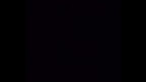 LogicPorn Black SEC 001