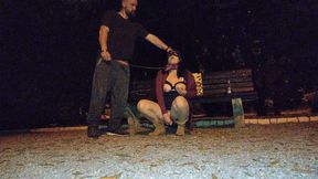 Controlled and Leashed in Leggings & High Boots