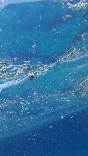 Stunning Girl Swims Nude on Public Beach