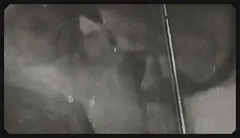 Vintage Blowjob Passion with Christy Canyon & PJ Sparxx