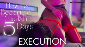How To Become A Cuck In 5 Day's: Execution
