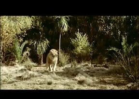 Asia loves big dick in hairy pussy in ass