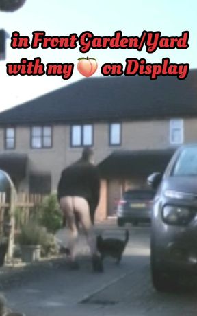 Compilation of Cumshots