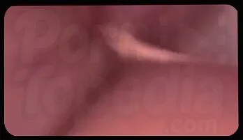 Taegan Presley Unleashes Her Wild Side in Passionate Ride