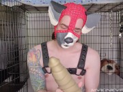 Pongo Dongo Dildo Unboxing/Review - JohnThomasToys