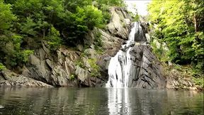 ANTI-SISSY - FOR MAN AND WOMEN - BECOME ALPHA AGAIN