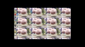 Como cambiar el idioma de Photoshop, Illustrator, After Effects, etc.