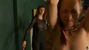 A New Year's Whipping - HD MP4