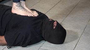 LADY SCARLET - WHITE FEET ON BLACK THROAT hd - PIEDI BIANCHI SULLA GOLA NERA hd