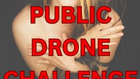 Public Drone Challenge
