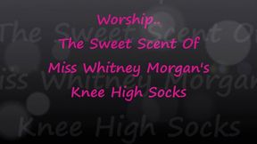 Worship Sweet Scent of Whitney's Knee High Socks - mp4