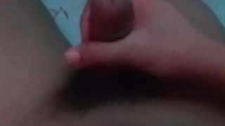 Jakol ni totoy