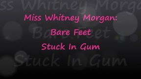 Whitney Morgan: Bare Feet Stuck In Gum - wmv