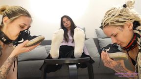 SOFIA - Videomix humiliation of other slaves!