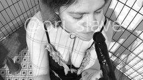 Good slave who practices sucking