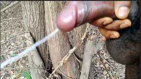 Outside, an Indian man masturbates...