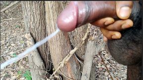 Outside, an Indian man masturbates...