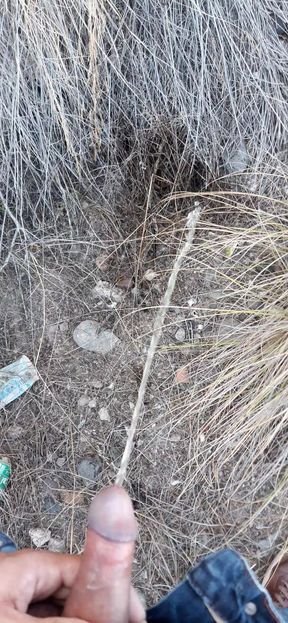 Risky piss after the walk, people very close and I had to pee part behind some buildings, my cock couldn't take it anymore and I left my urine