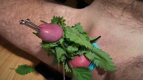 Cum with Nettles Inside Dick