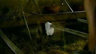 Skinny twink blows a big cock before taking it into his ass