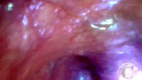 POV Extreme Deep Anal Exploration! Fast visible Heartbeat 💓