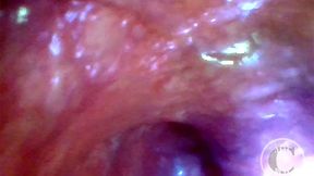 POV Extreme Deep Anal Exploration! Fast visible Heartbeat 💓