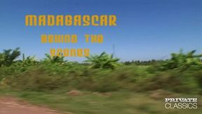 madagascar, backstage