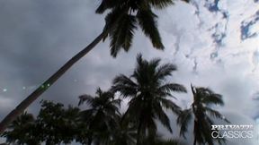 madagascar, backstage