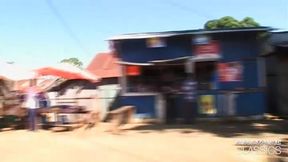 madagascar, backstage