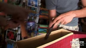 madagascar, backstage