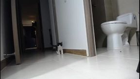 Tyler Jonnes Private Show