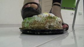 Your birthday cake 1