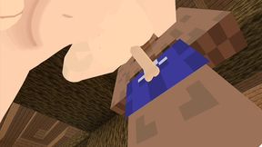 the jenny mod, fapcraft minecraft it s ada wong from resident evil and she wants to fuck