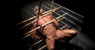 Caged male with his dick clamped waits for the master to come and release him