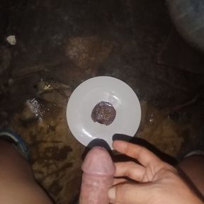 Cum on Food cupcakes top of load