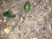 Horny sweaty twink jerks off while friends are camping near