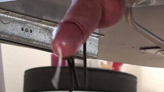 Schwanz mit e-stim absahnen