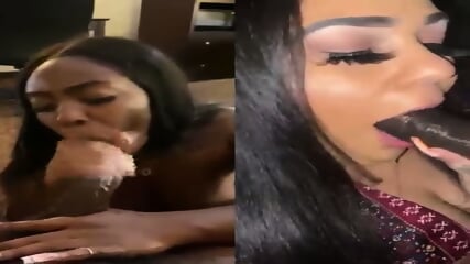 Bbc blowjob collage