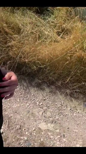 I'm Only Going for a Walk Today for One Reason