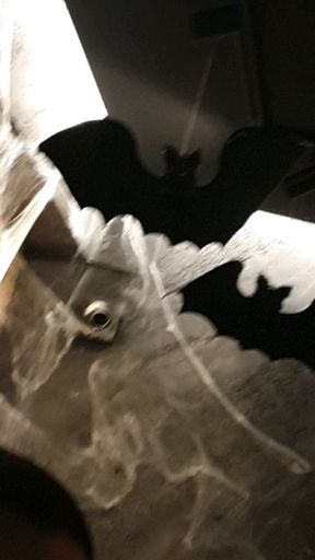 🕷🕸🎃