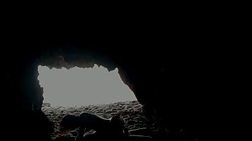 En la Playa, Dentro de la cueva Porn Videos - Tube8