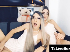 sizzling randy transsexual enjoy their shaft 082029 1605