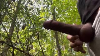 Nutting mischievous in the forest