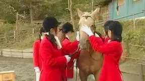 Japanese Beauty Takes It Rough in the Stables – Steamy Farm Action