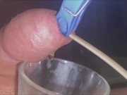 Electro Milking Night