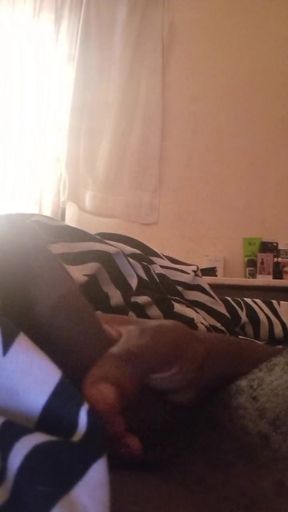 Dick at day time