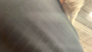 My slut wife likes to show her pierced titles