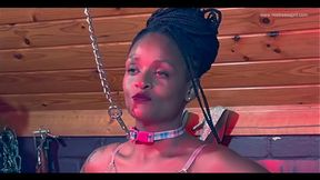 Ebony dominant Mistress April dominates Pam