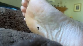 Giantess Special Effects - Playful Teenie Climbing all over Giantess MXDominions Giant Soles Giantess, Shrinking fetish, Foot Worship  1080 smaller